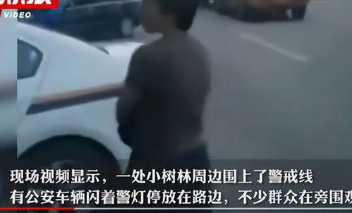唐山警察爆料事件最新,真相与争议交织的警界风云